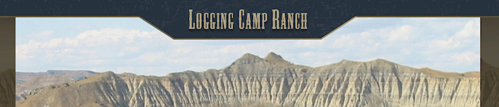 Logging Camp Ranch